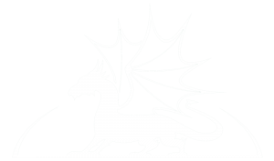 sast dragon logo